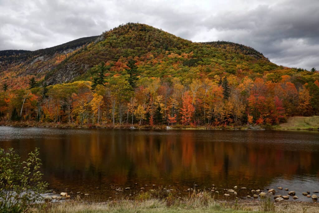 White Mountain National Forest