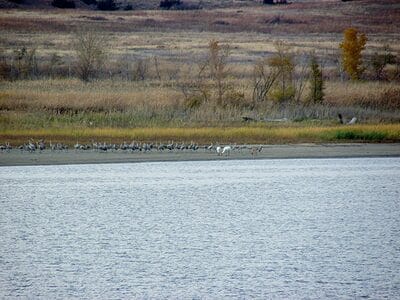 Discover the Deepest Lake in Kansas - A-Z Animals