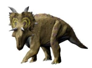 Xenoceratops - A-Z Animals