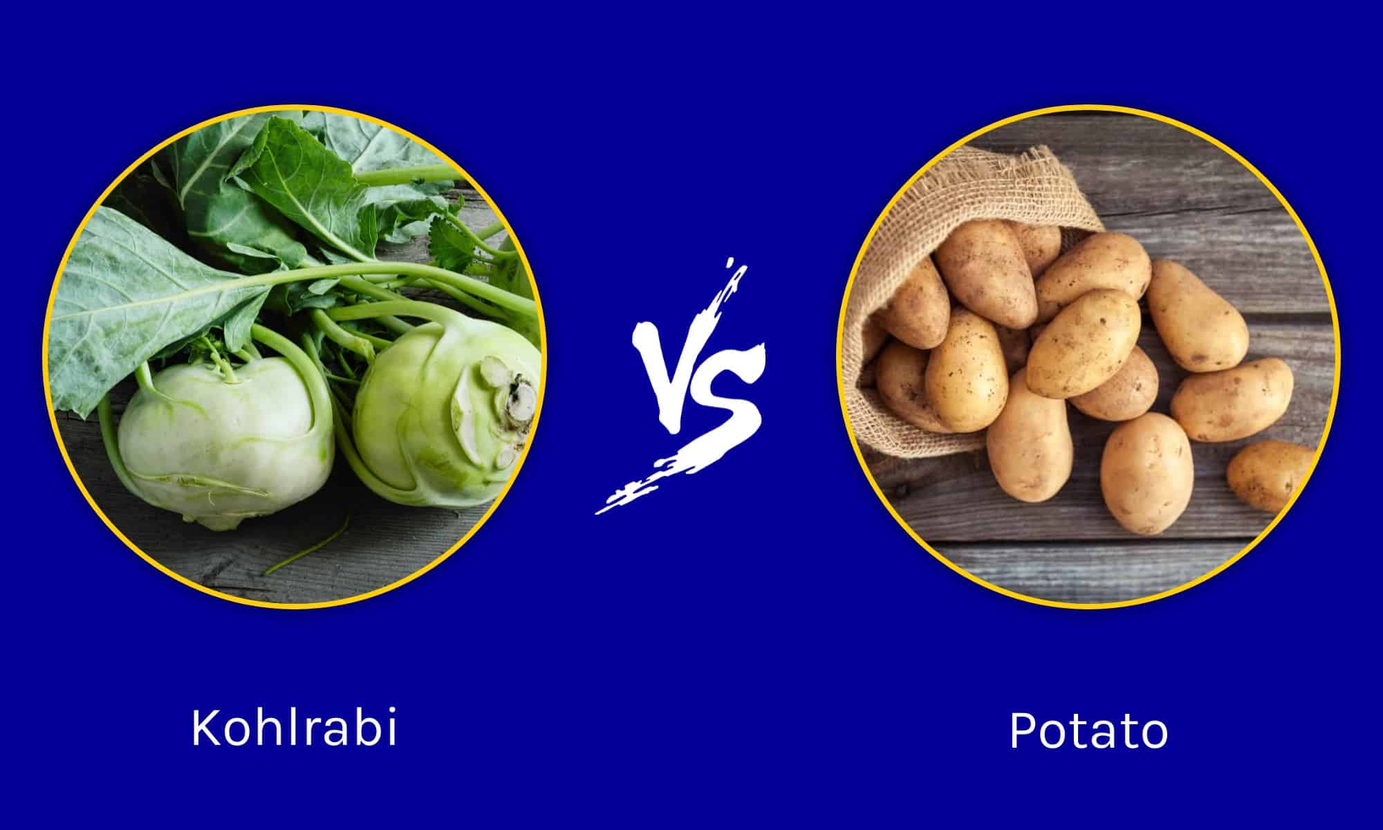 Kohlrabi vs. Potato Two Versatile Crops AZ Animals