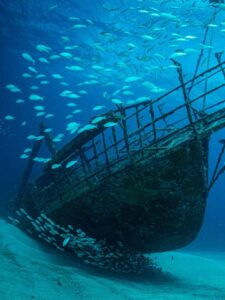 See the Incredible Shipwreck That Millions of Fish Now Call Home Picture