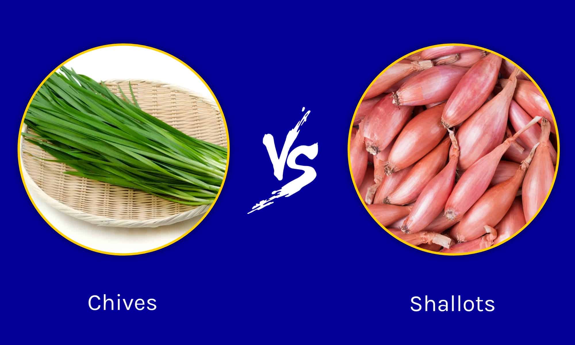 Chives vs Shallots: What’s the Difference?