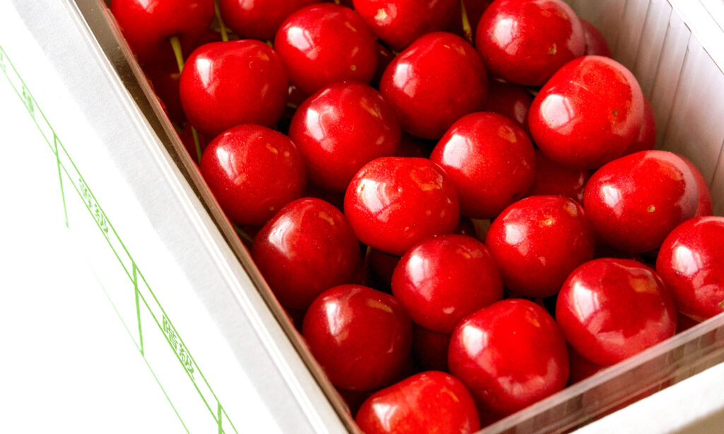 Cherry, Japan, Sato Nishiki, Box - Container, Fruit