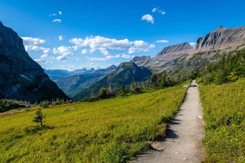 Glacier National Park trail.
