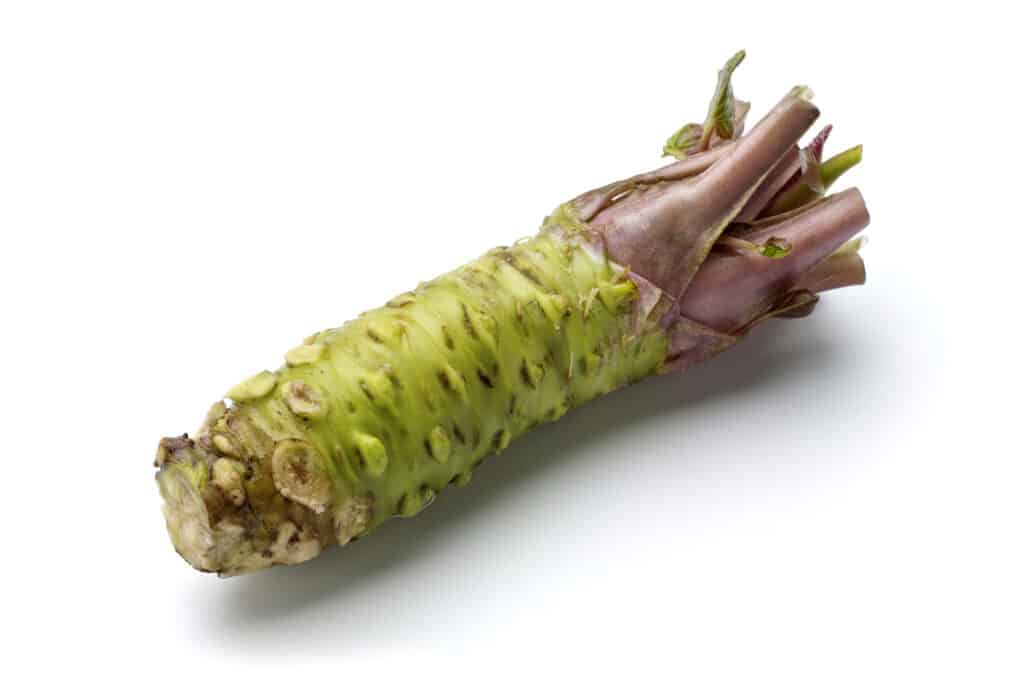 closeup of a greenish wasabi root against a white background