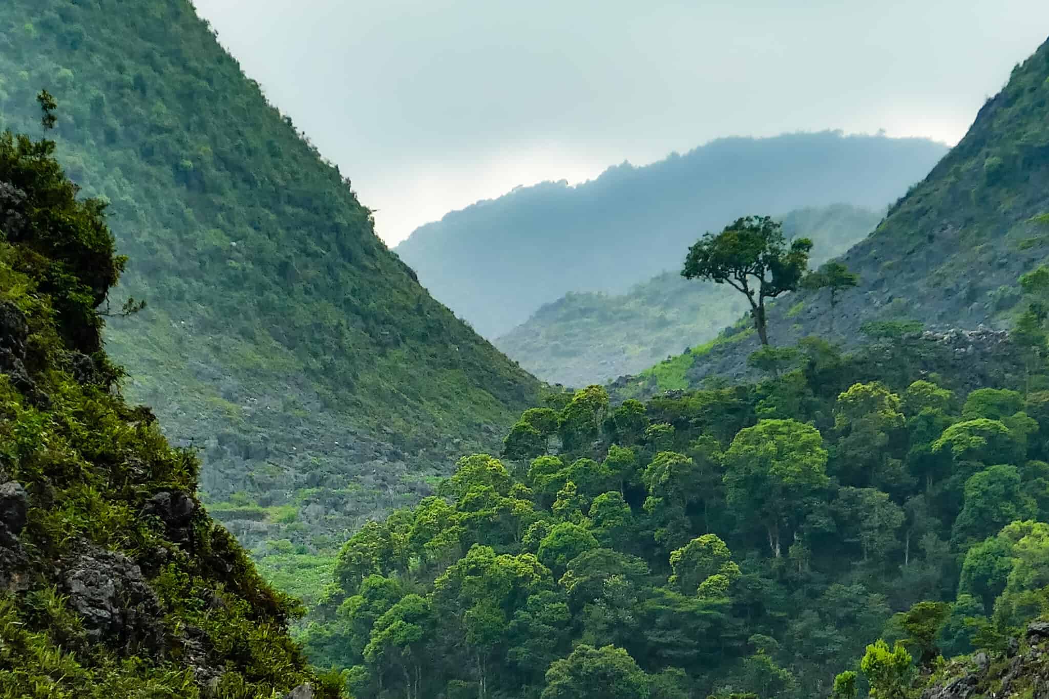 The 10 Oldest Countries In The World In 2024 A Z Animals   IStock 1278579357 2048x1365 