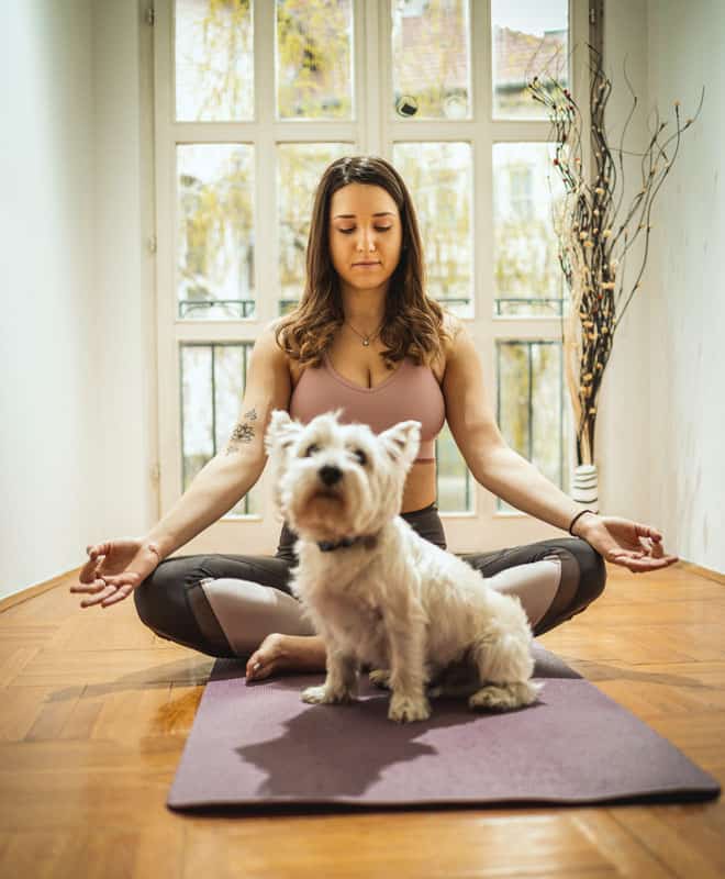 Domestic Life, Dog, Yoga, Home Interior, Individuality