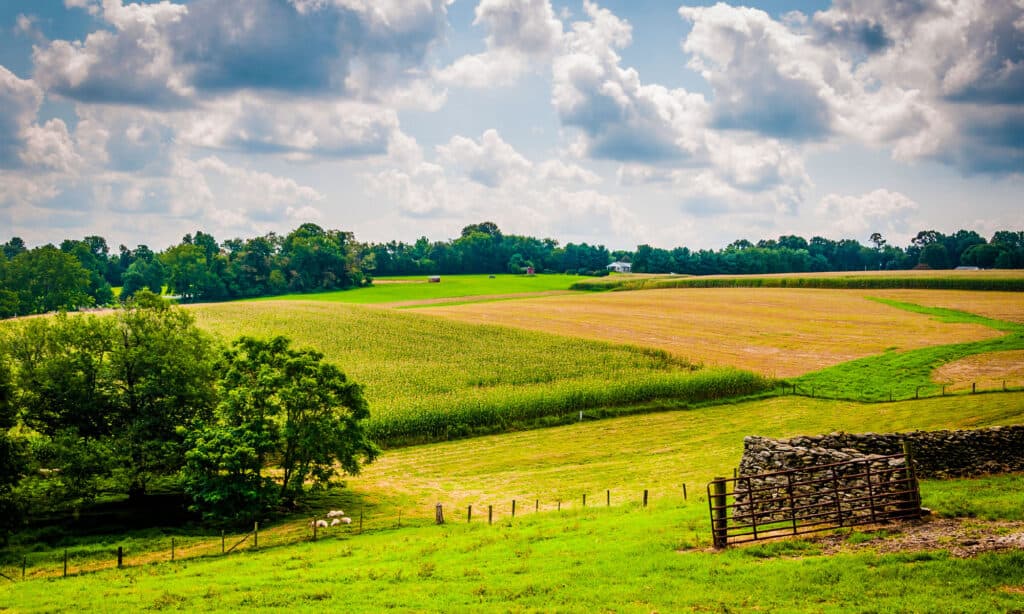 Farm, Agriculture, Fence, Outdoors, Rock - Object