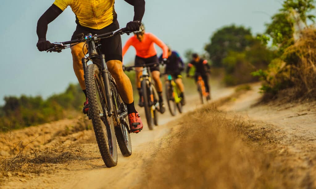 Mountain Bike, Cycling, Bicycle, Sports Race, Extreme Sports