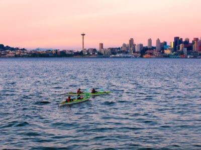 A Discover the Top 4 Whales You’ll Find in Puget Sound