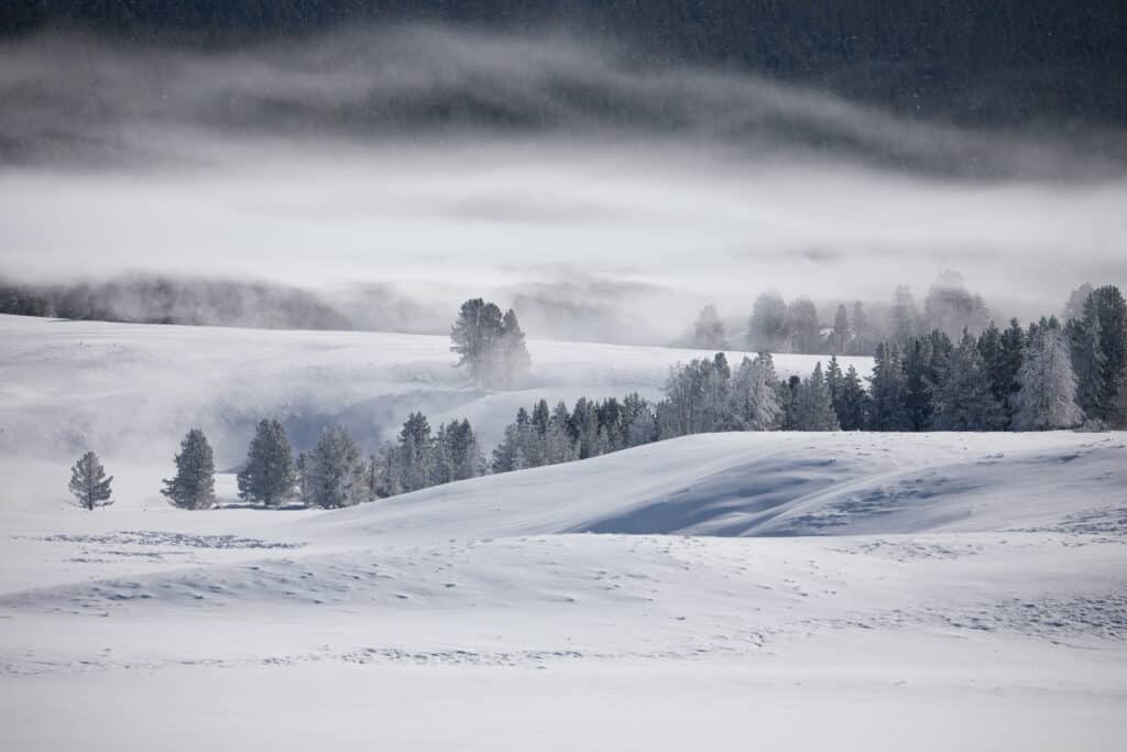 Snow covered Yellowstone National Park in Wyoming