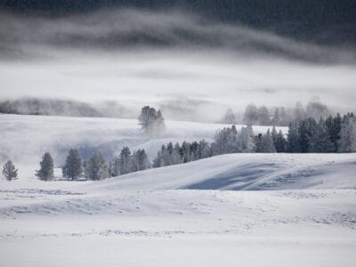 A Discover How Much Snow Yellowstone National Park Gets Every Year