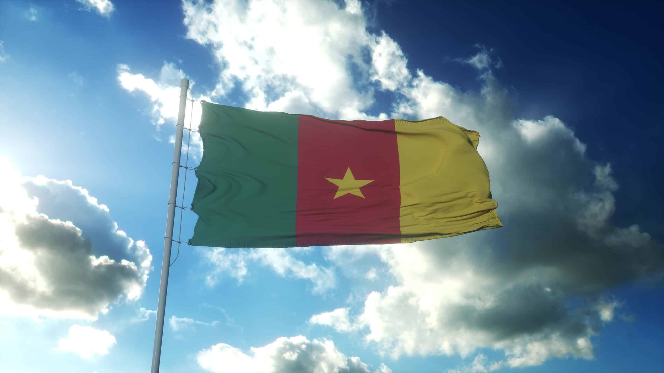 Flag of Cameroon waving in the wind