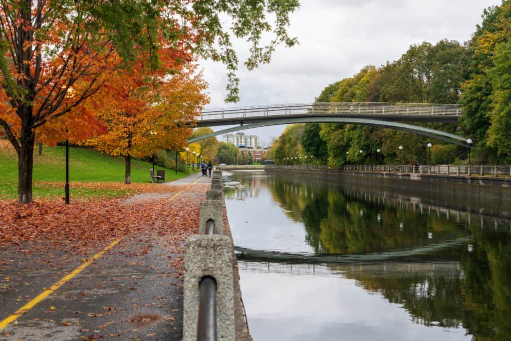 A beautiful red/orange tree sheds its leaves next to the Rideau canal in Ottawa, Canada. There is a slightly arched pedestrian bridge over the canal which is reflected in the canal's water. Green tree line the far side of the canal. 