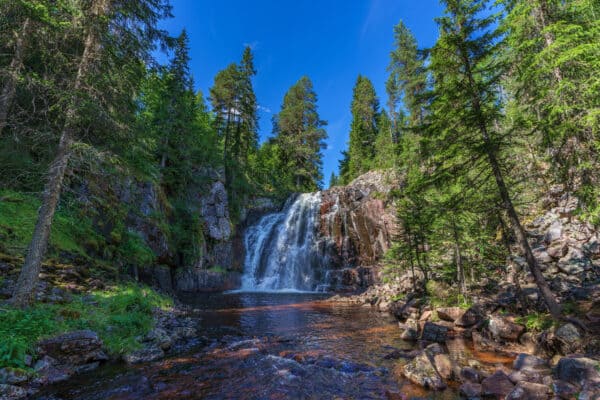 Beautiful view of a flushing waterfall in a forest in Sweden, in summertime with sunlight and a blue sky