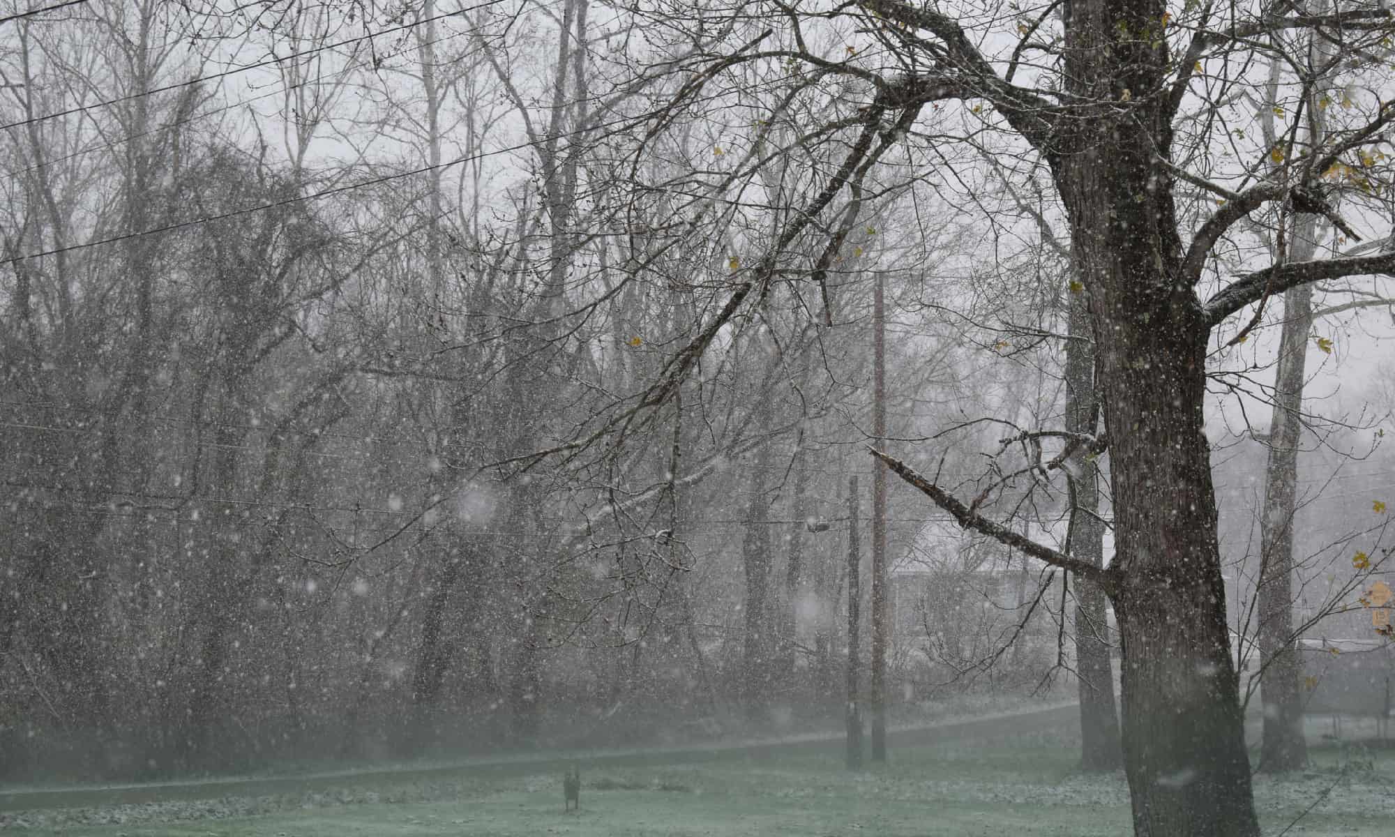 First Snow in Michigan The Earliest & Latest First Snows on Record A