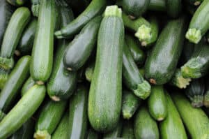 7 Reasons Zucchini Is Safe for Dogs To Eat Picture