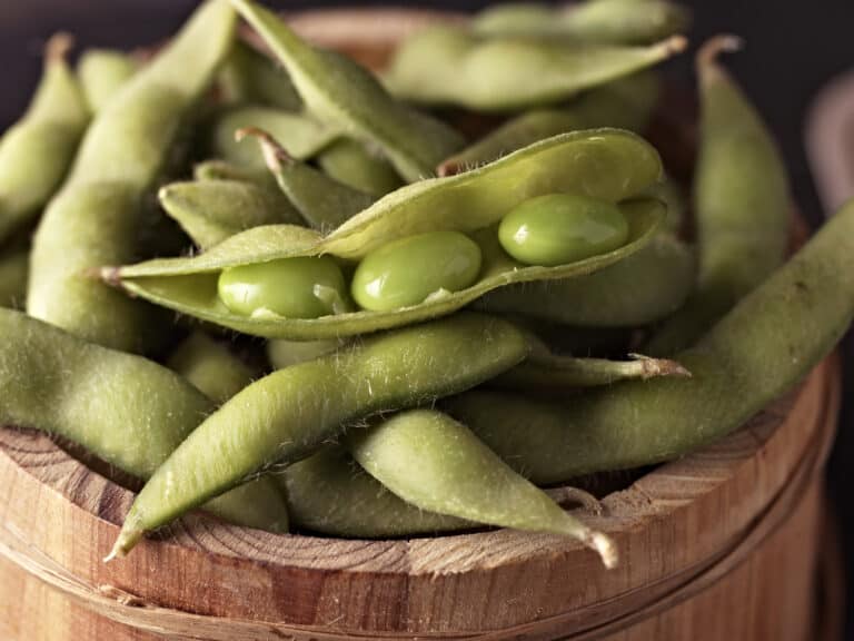 Close up of Edamame