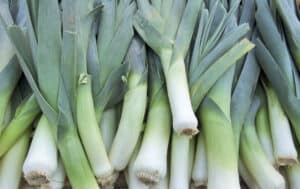 Leek vs. Green Onion What Are the Differences? Picture