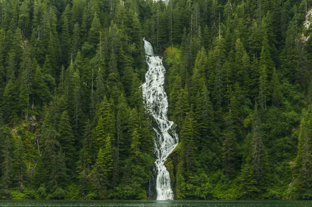 Tongass National Forest, Alaska - US State, Baranof Island, 2015, Alexander Archipelago