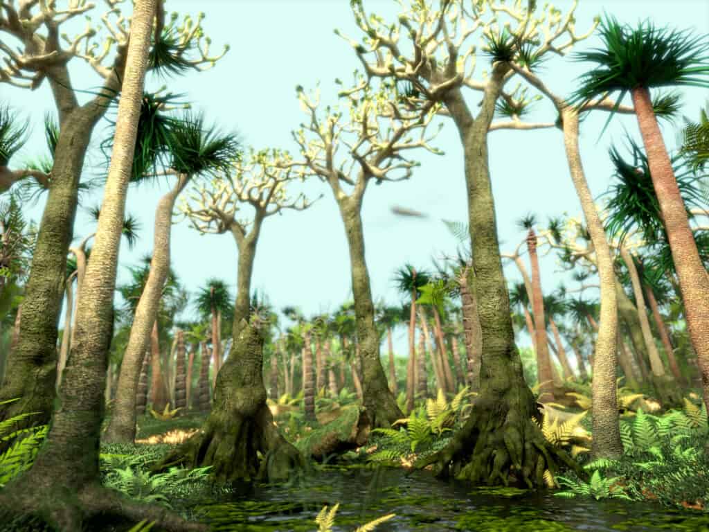 A forest during the Carboniferous Period