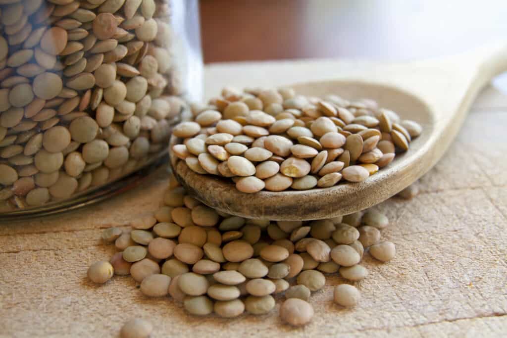 Lentils legumes