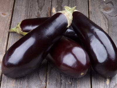 A The 7 Best Eggplant Companion Plants (and What to Avoid)