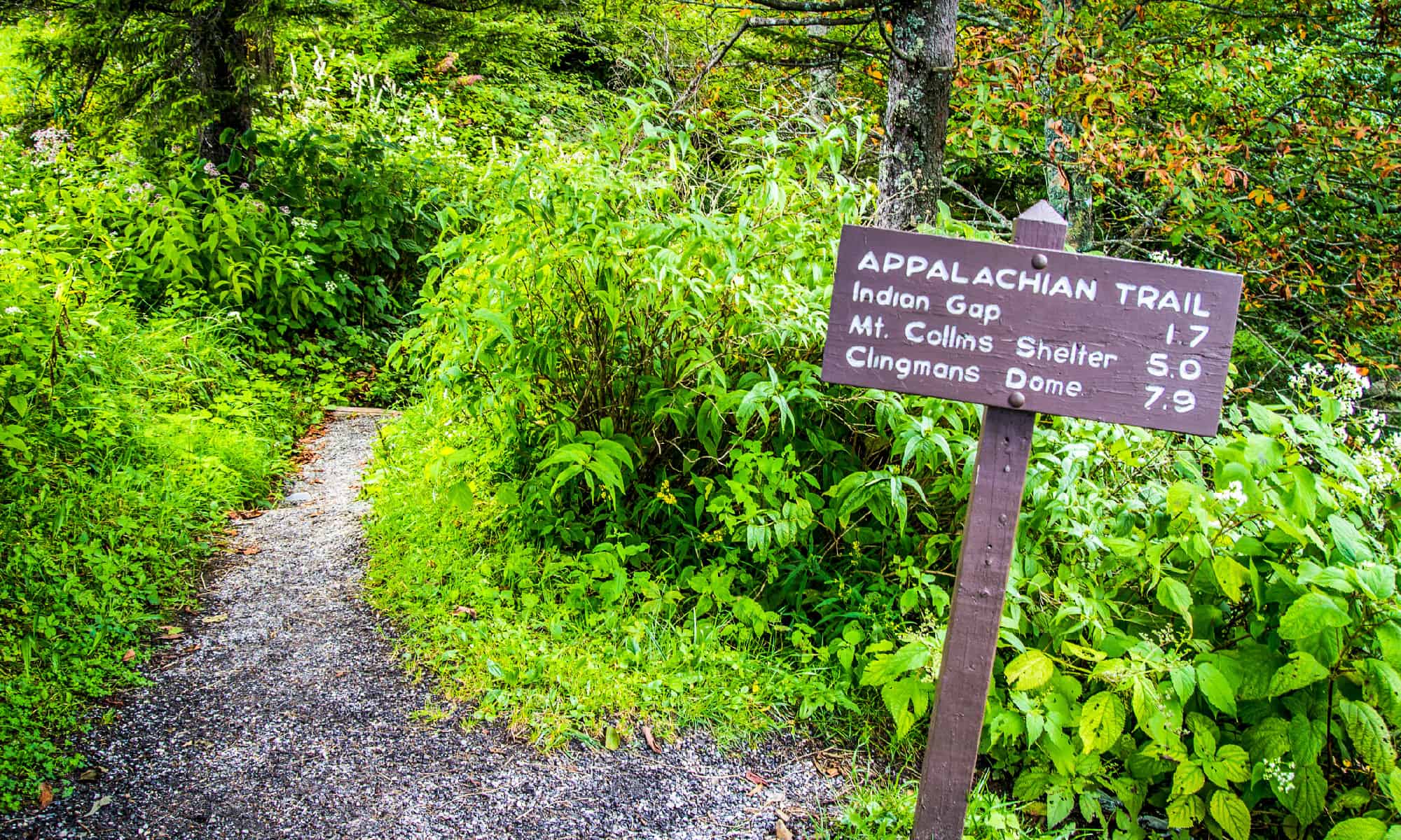 Appalachian Trail, Hiking, Sign, Great Smoky Mountains, High Angle View