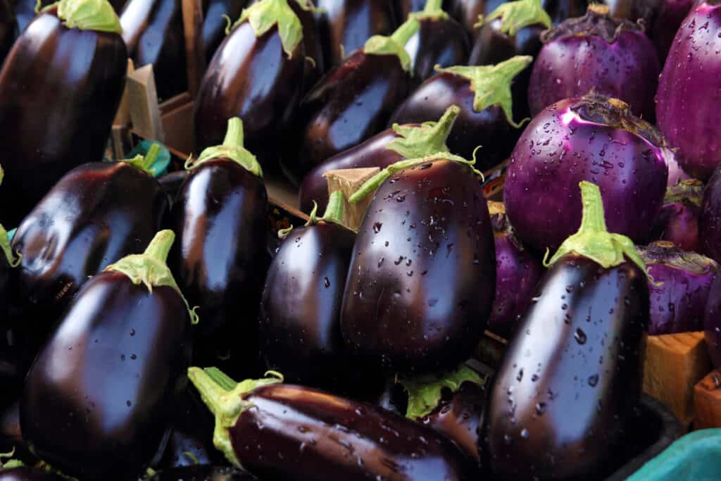 Fresh eggplant (aubergine).
