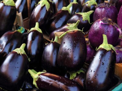 A Discover 15 Purple Vegetables: The Complete List