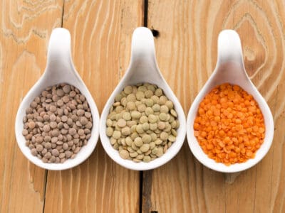 A Are Lentils Safe For Dogs To Eat?