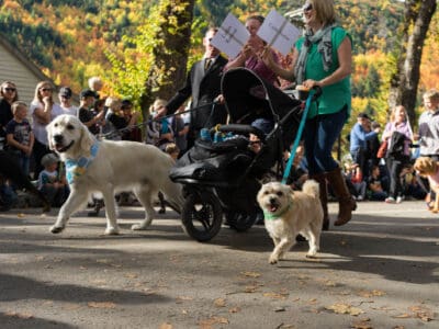 A The Best Pet-Friendly Events In San Francisco