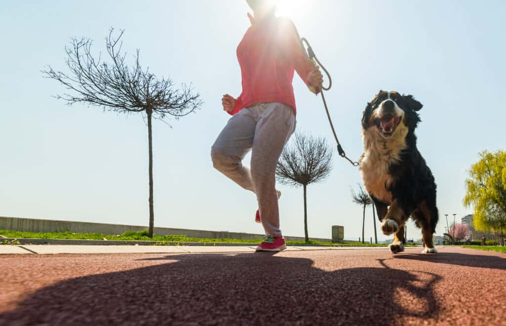 dog and person running on a track