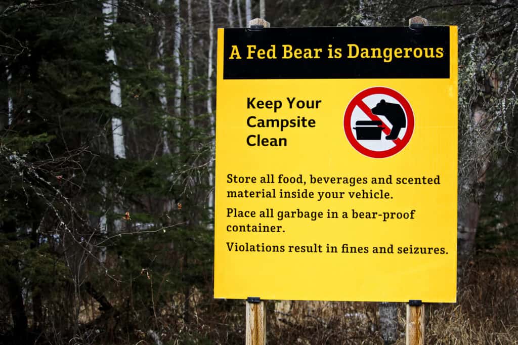 A Fed Bear is a Dangerous Bear sign.