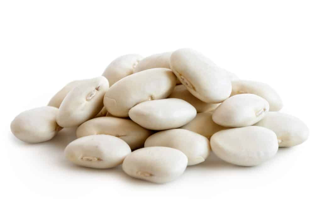 a pile of dry whitish lima beans against a white background.