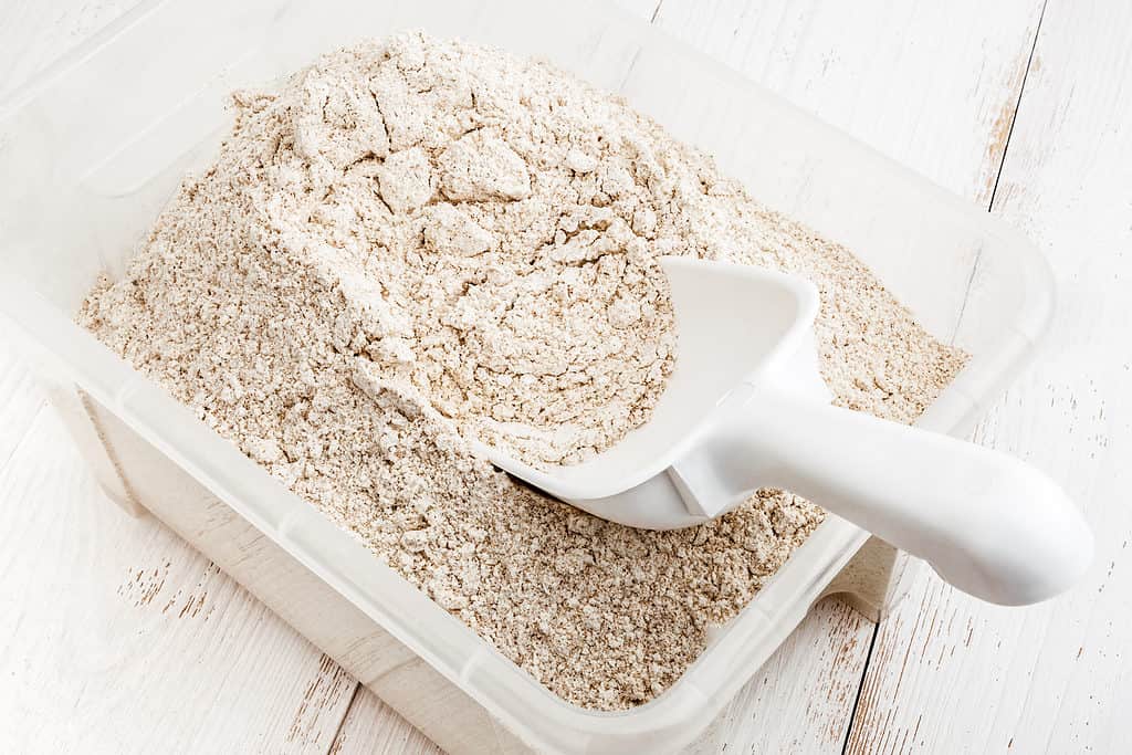 Whole grain flour