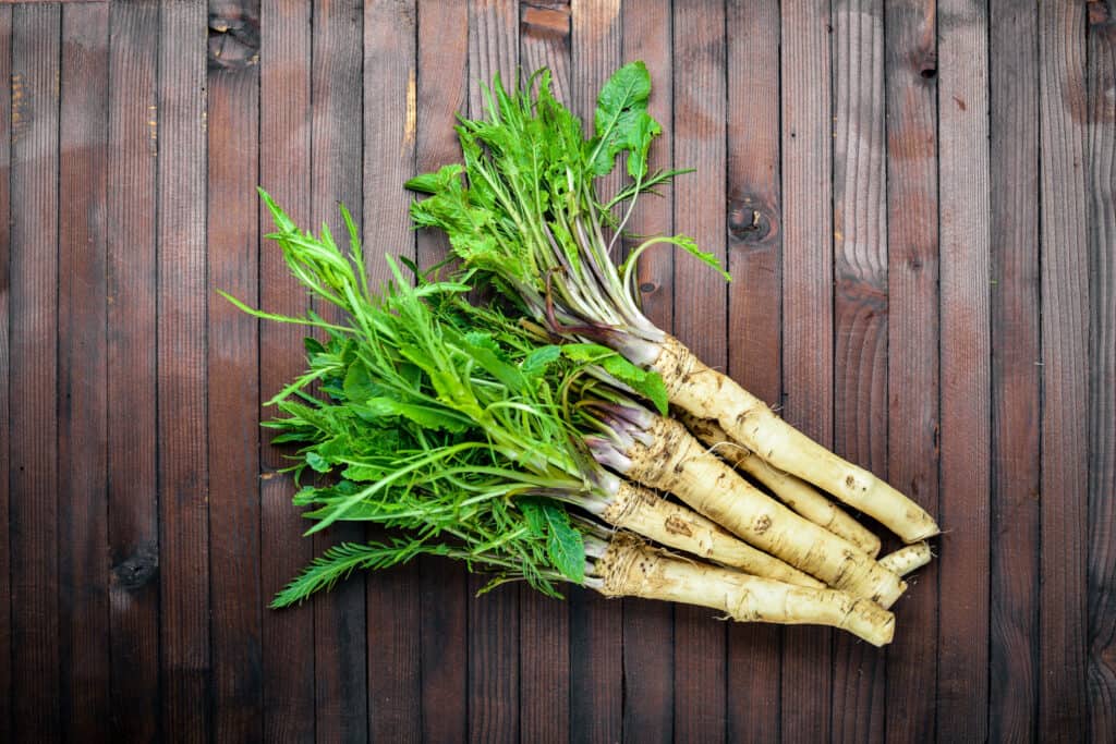 bright green leave top six horseradish roots arranged on dark brown wooden slats.