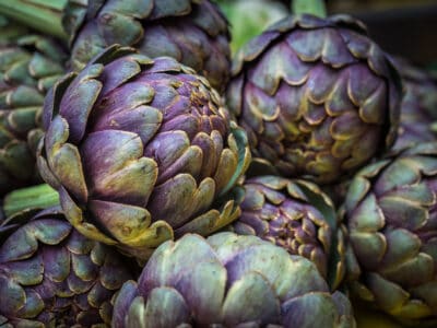 A Artichoke vs. Brussels Sprout: Two Tasty Veggies Not to Be Confused