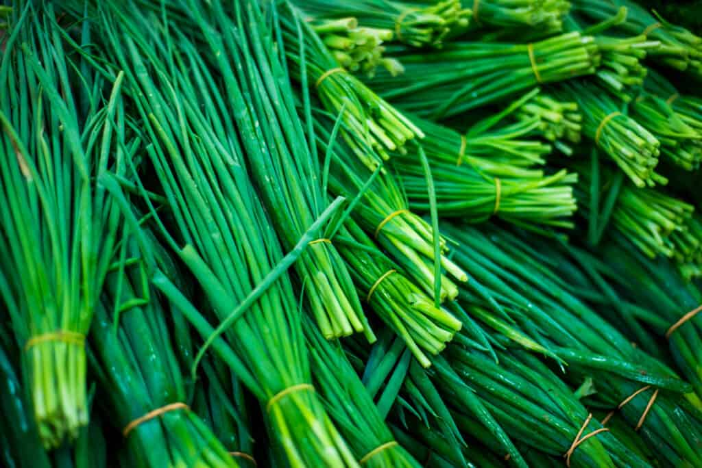 Stack of raw chives.