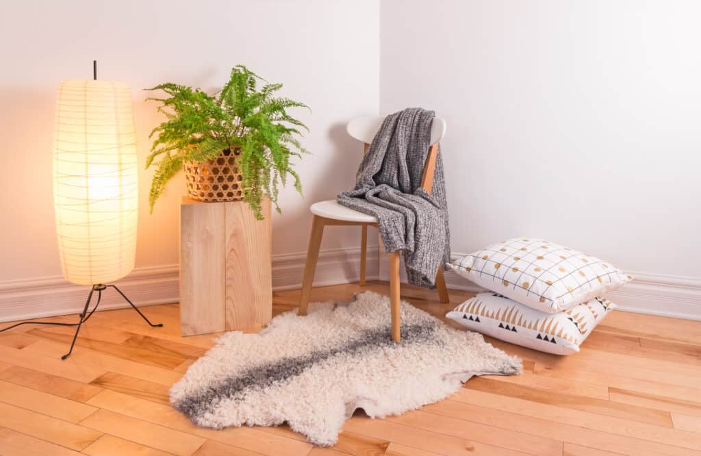 Potted Boston fern placed on table in cozy sitting corner