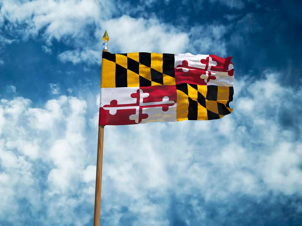 flag of Maryland