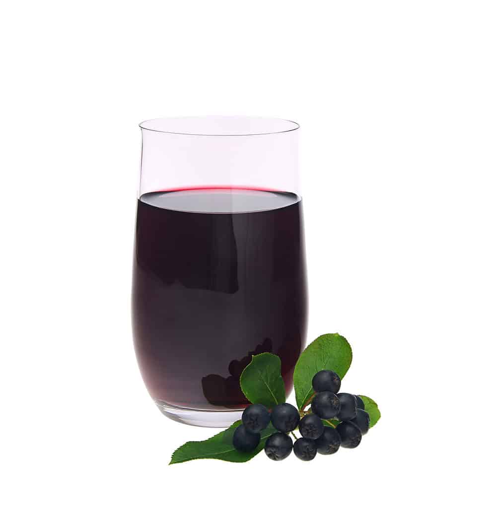 A clear glass tumbler of dark purple aronia berry juice .center frae against white isolate. The glass is full. lower frame right, placed aesthetically nest to the tumbler freely cut spring form an Ionia bush, with for oval green leaves and a dozen deep purple berries.