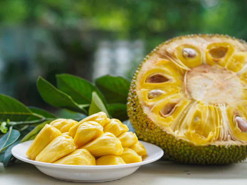 Jackfruit cut in half, short way, exposing seeds and flesh, with pieces of the fruit's flesh on a plate beside