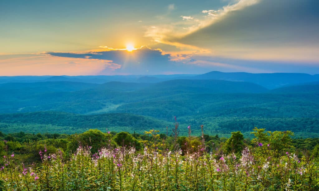 Sunset from Spruce Knob