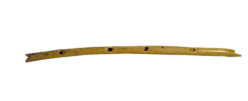 Flute made from a vulture's wing bone