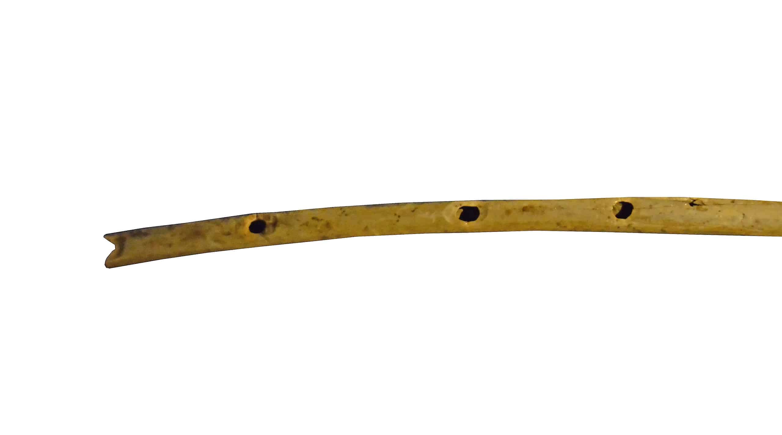 Flute made from a vulture's wing bone