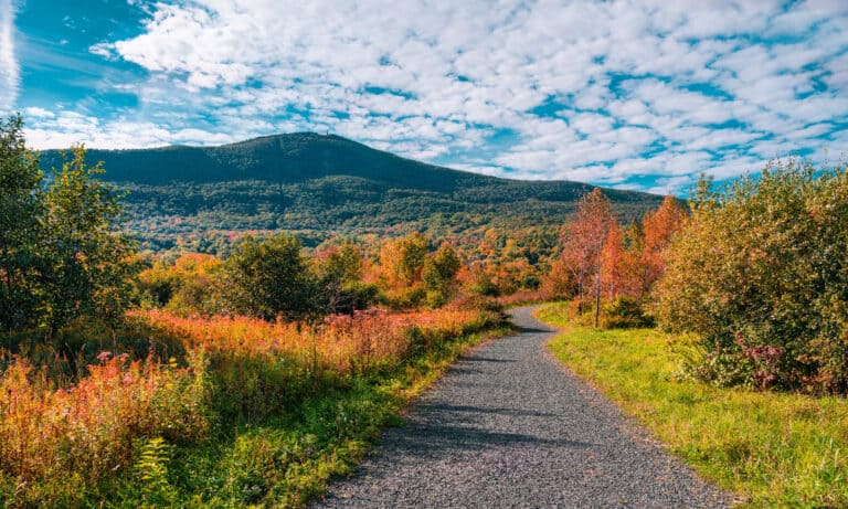 Mount Greylock