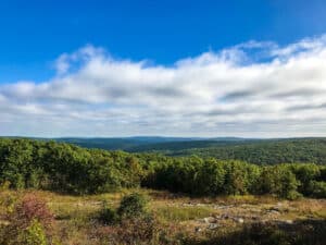 Discover the Highest Point in Missouri photo