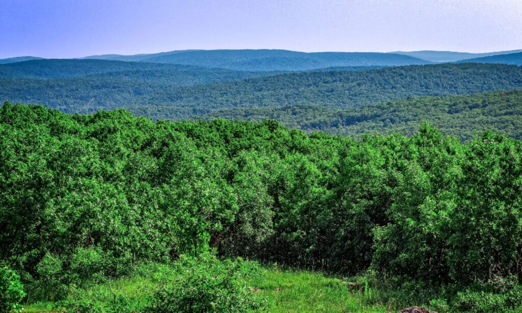 top of Taum Sauk Mountain