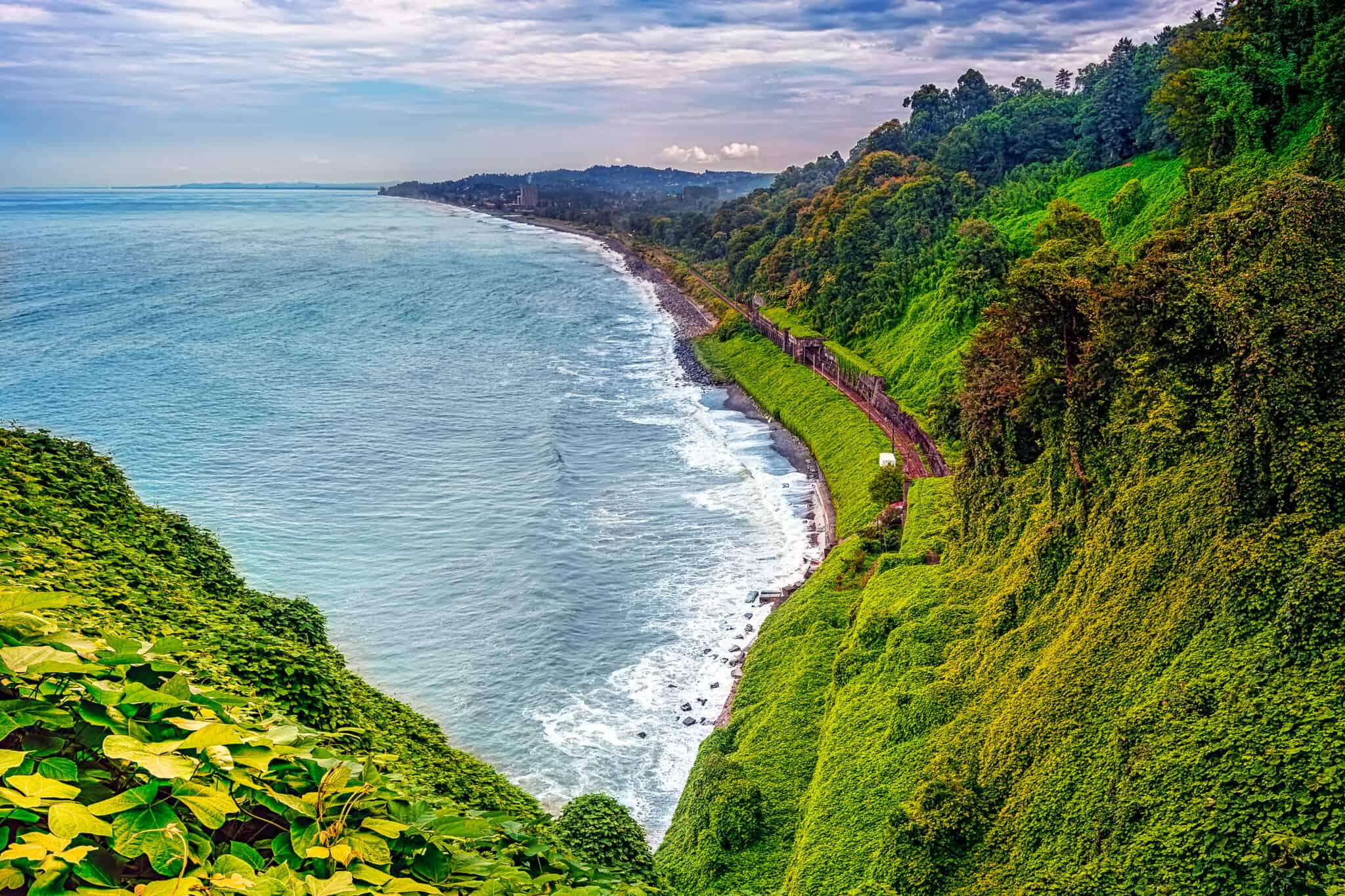 Hammerhead Shark Fish Facts - Sphyrnidae - A-Z Animals